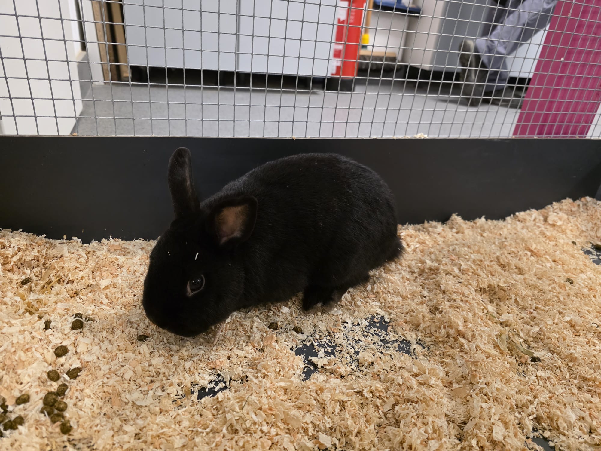 WhatsApp Image 2025-12-14 at 15.05.47 (1).jpeg